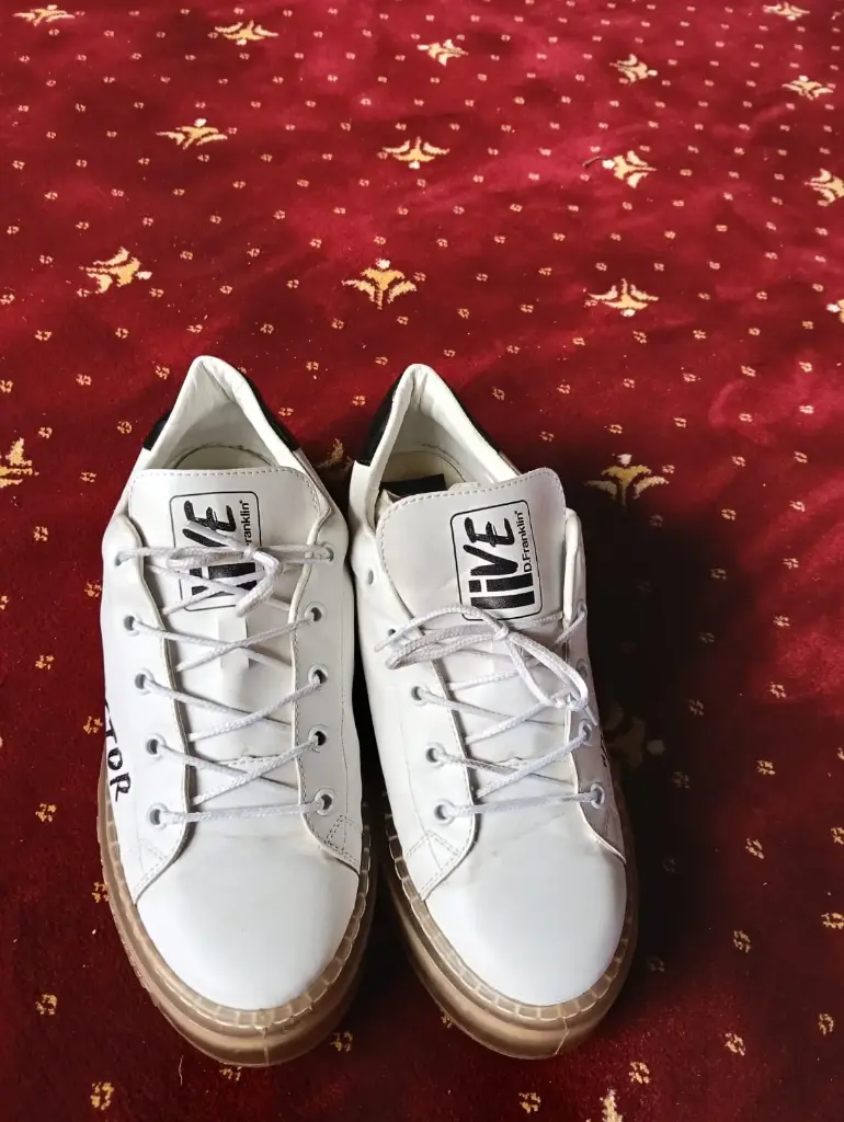sports shoe (No 40)