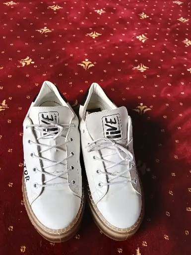sports shoe (No 40)