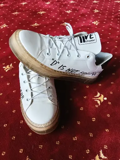 Sports shoe (No 40)